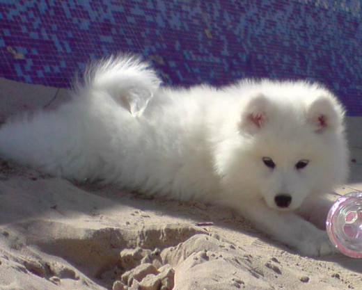 en la playita ! cuando todabia era bueno ....!!